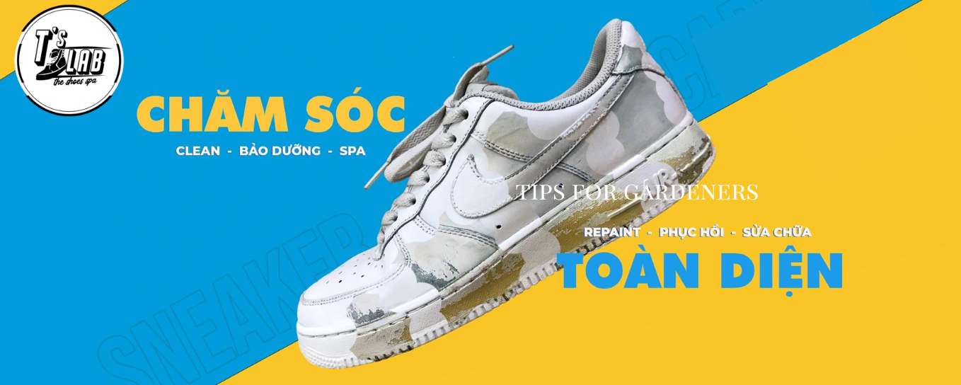 T'S LAB SHOES SPA